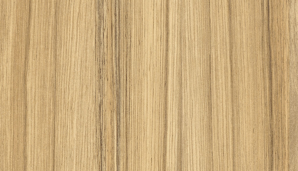 H3012-ST22-Coco-Bolo