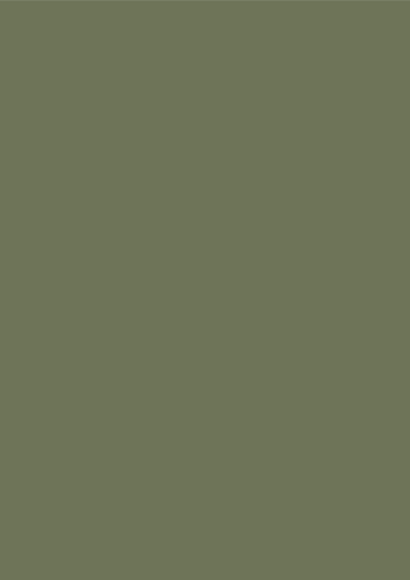 D202-Pesto