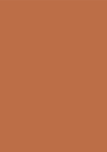 D192-Ginger